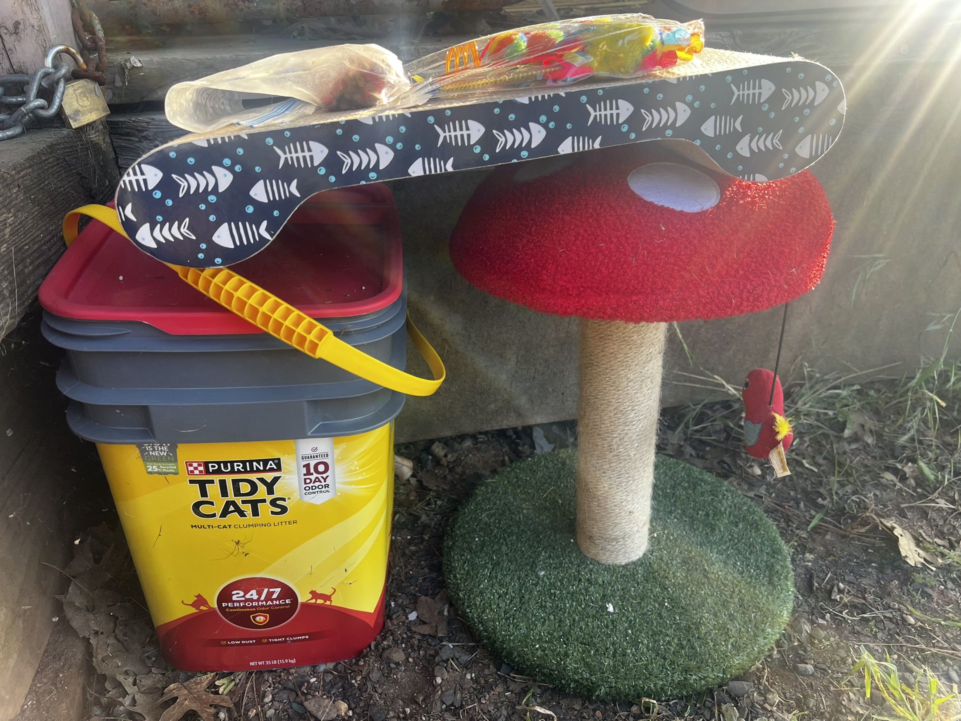Cat Essentials