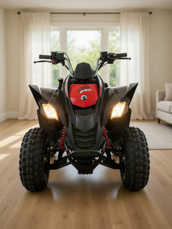 2022 Canam ds250