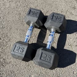 25lbs Dumbbells 