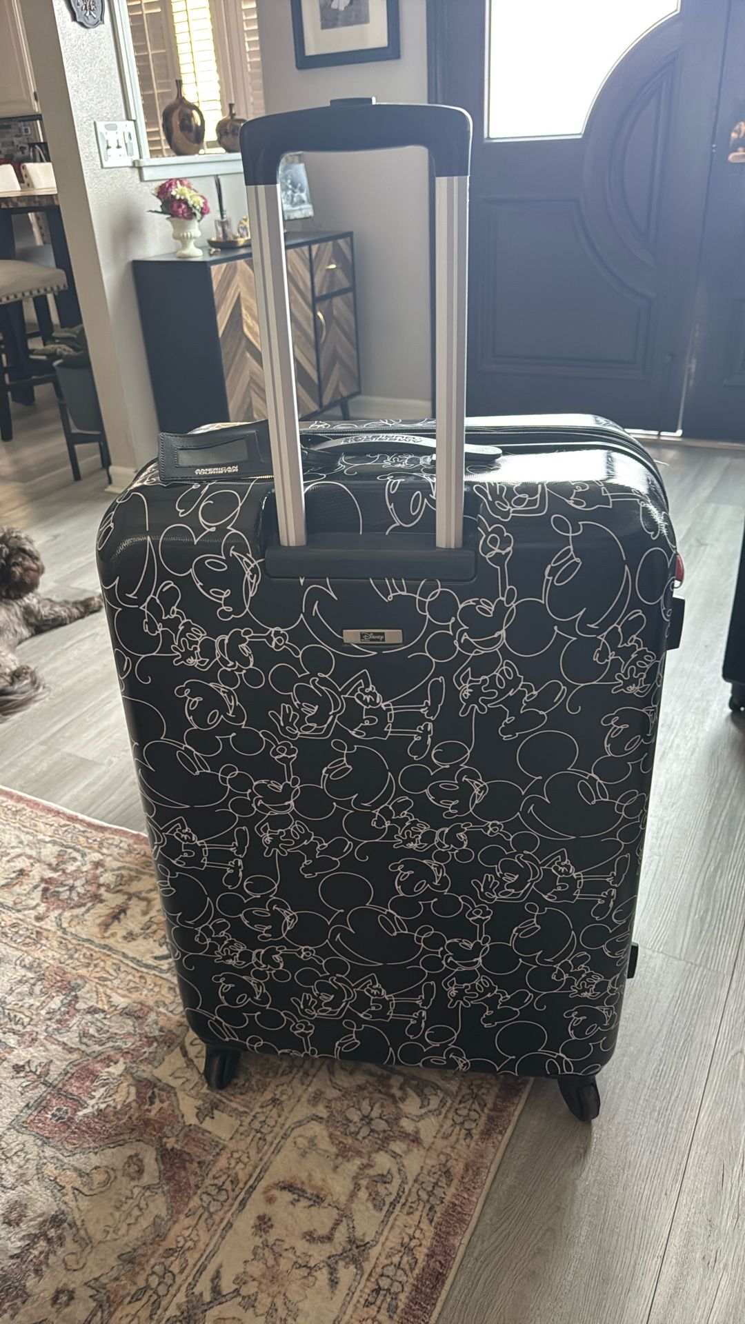 Large capacity luggage