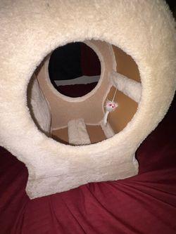 Cat Tree/House