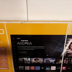 65” Vizio TV