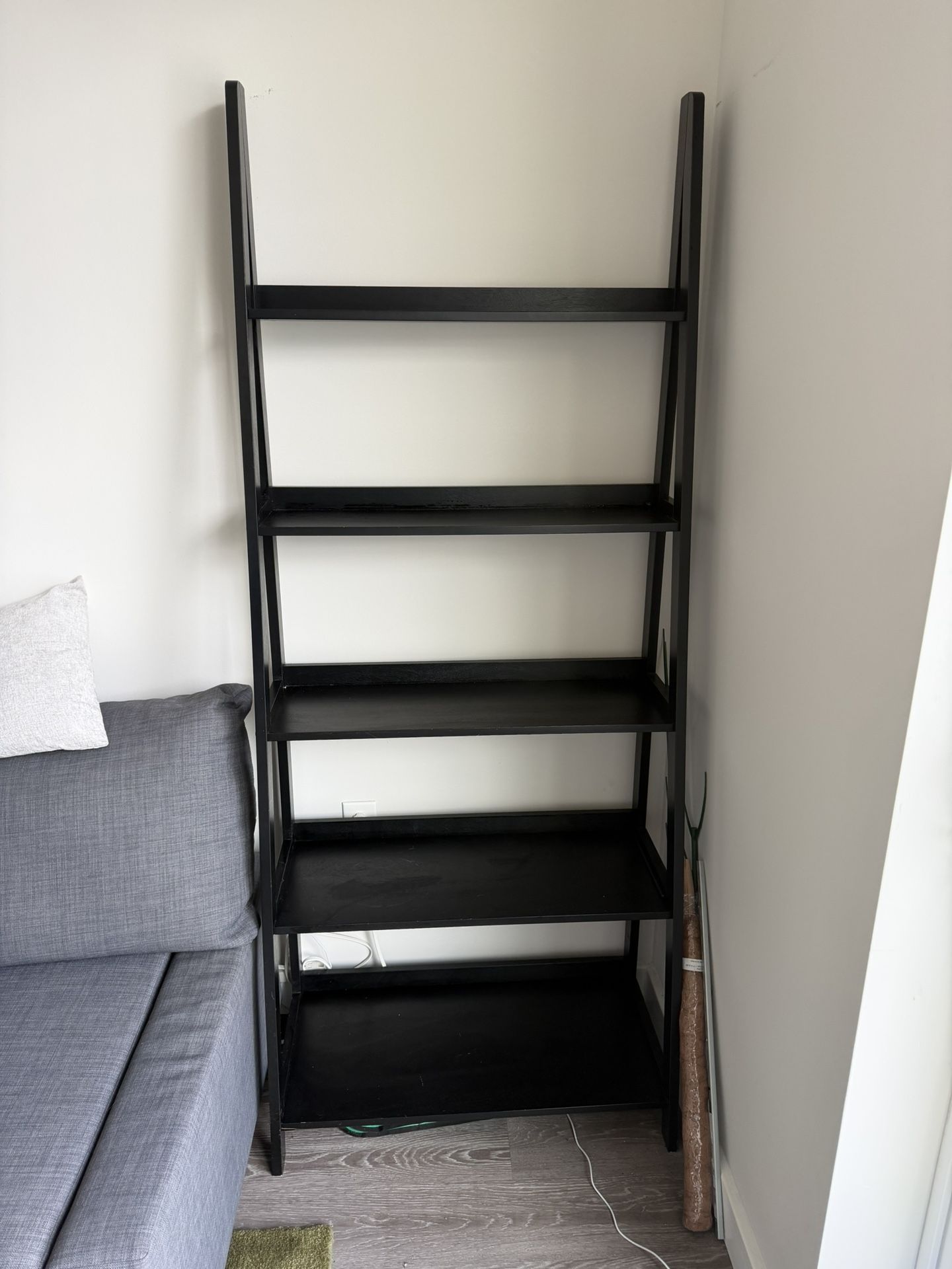 Ladder Shelf