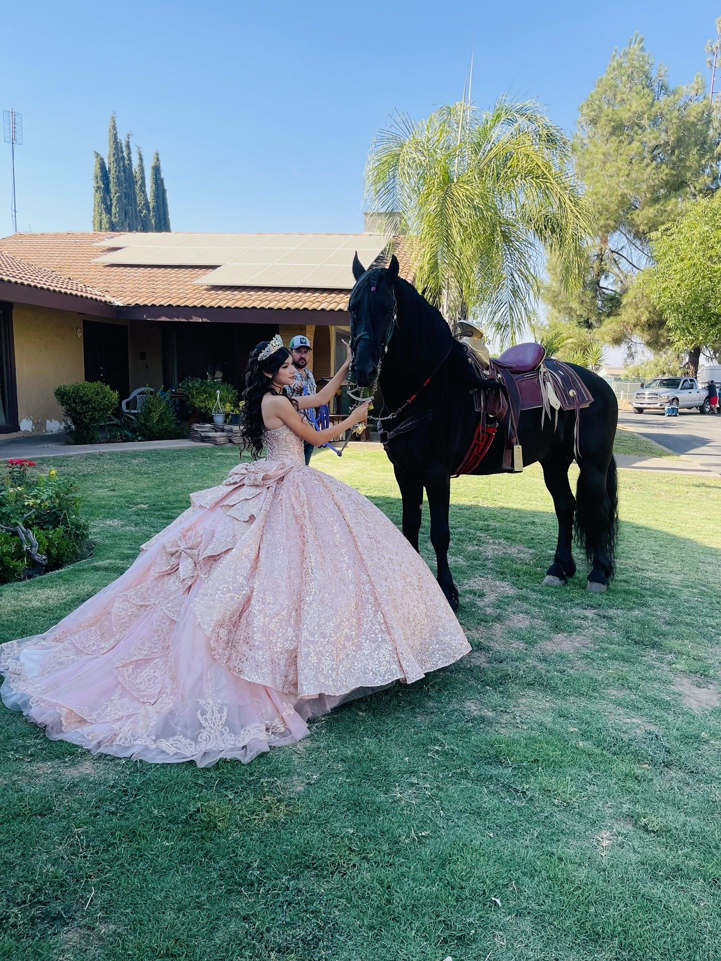 Quince Dress 💗