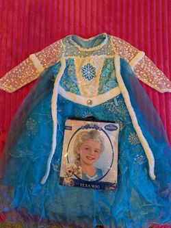 Girls Halloween costume w/wig