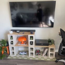Custom TV Stand
