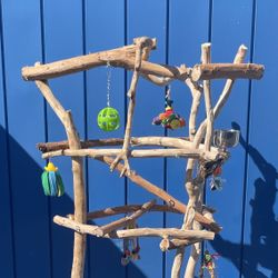 Large Parrot / Macaw Parrot Perch Tree… Tall And Thick , Just A Great Socializer!! 👍🏼