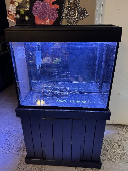 45 Gallon Fish Tank 