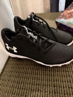 Under Armour Black Low-Top Sneakers