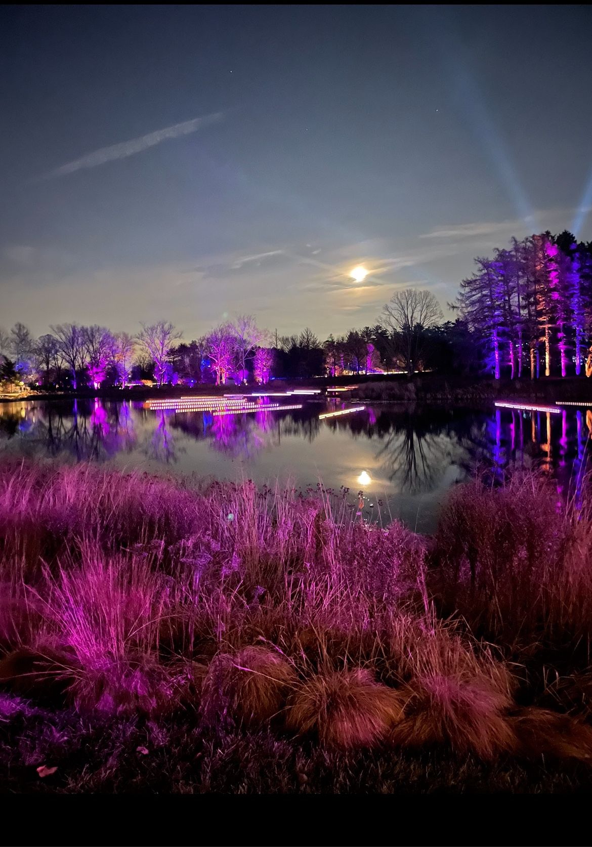 Morton Arboretum Illuminations Tickets