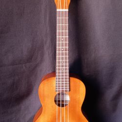 Cordoba Ukulele UP 100