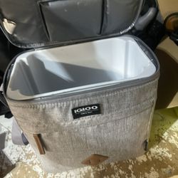 Igloo Portable Ice Cooler 