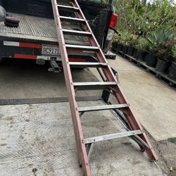 Ladder 10ft