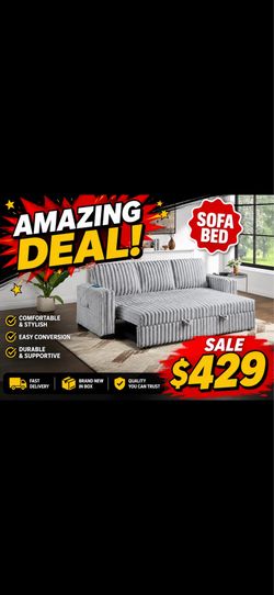 One Only Available Today Sofa Bed