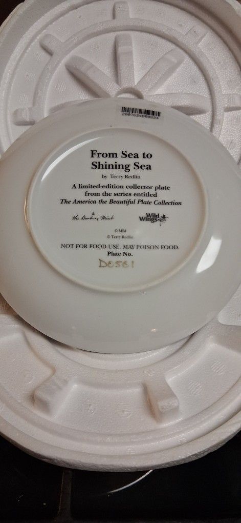 Set Of Two Collective Plates