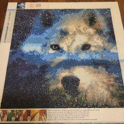 Diamond Painting Photo