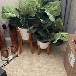 Fake Plants Still With Tags 