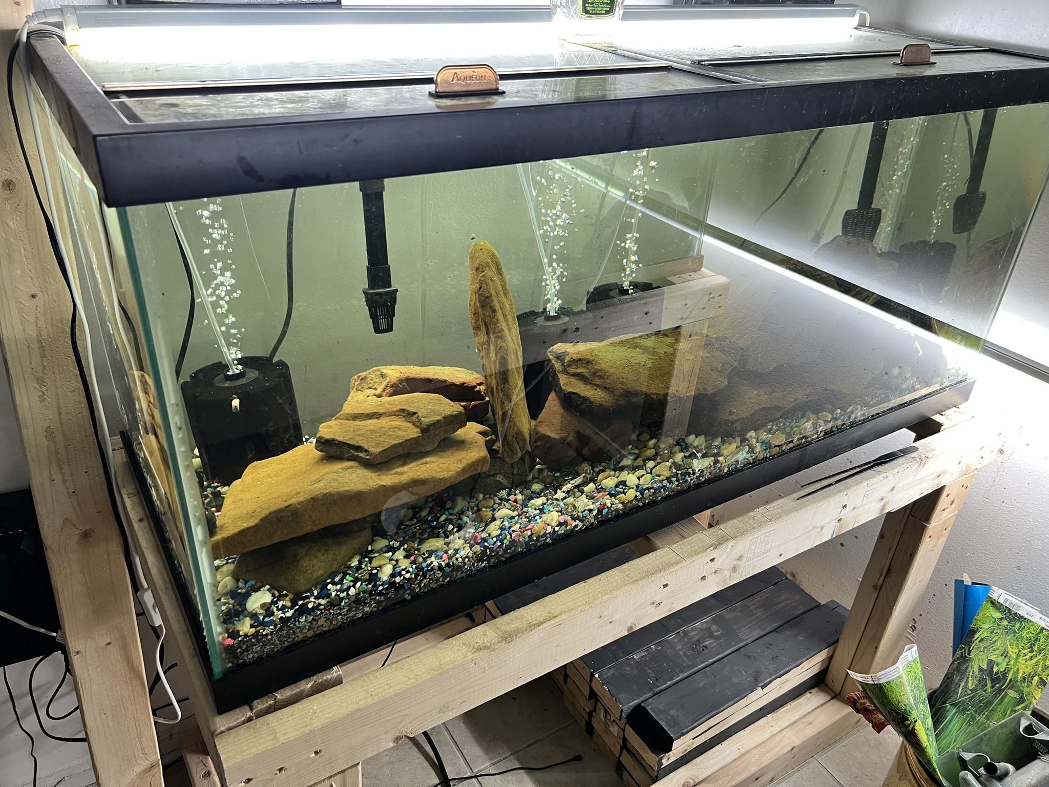 Fish Tanks