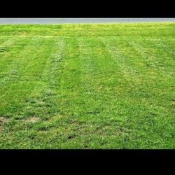 Grass Cutt Leafs Clean And More Text Me I Can Give You Good Prices And Good Service 🎈🎈