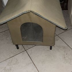 Dog House