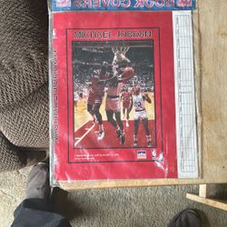 Michael Jordan 1989 Book Cover
