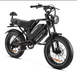 HappyRun G70 2000W Dual Battery Fast Electric Cargo Bike