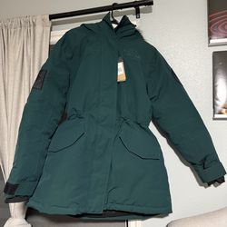 The North Face Expedition McMurdo Parka in Green