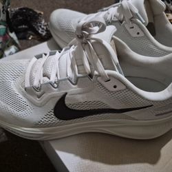 Men's Nike Air Zooms 10.5