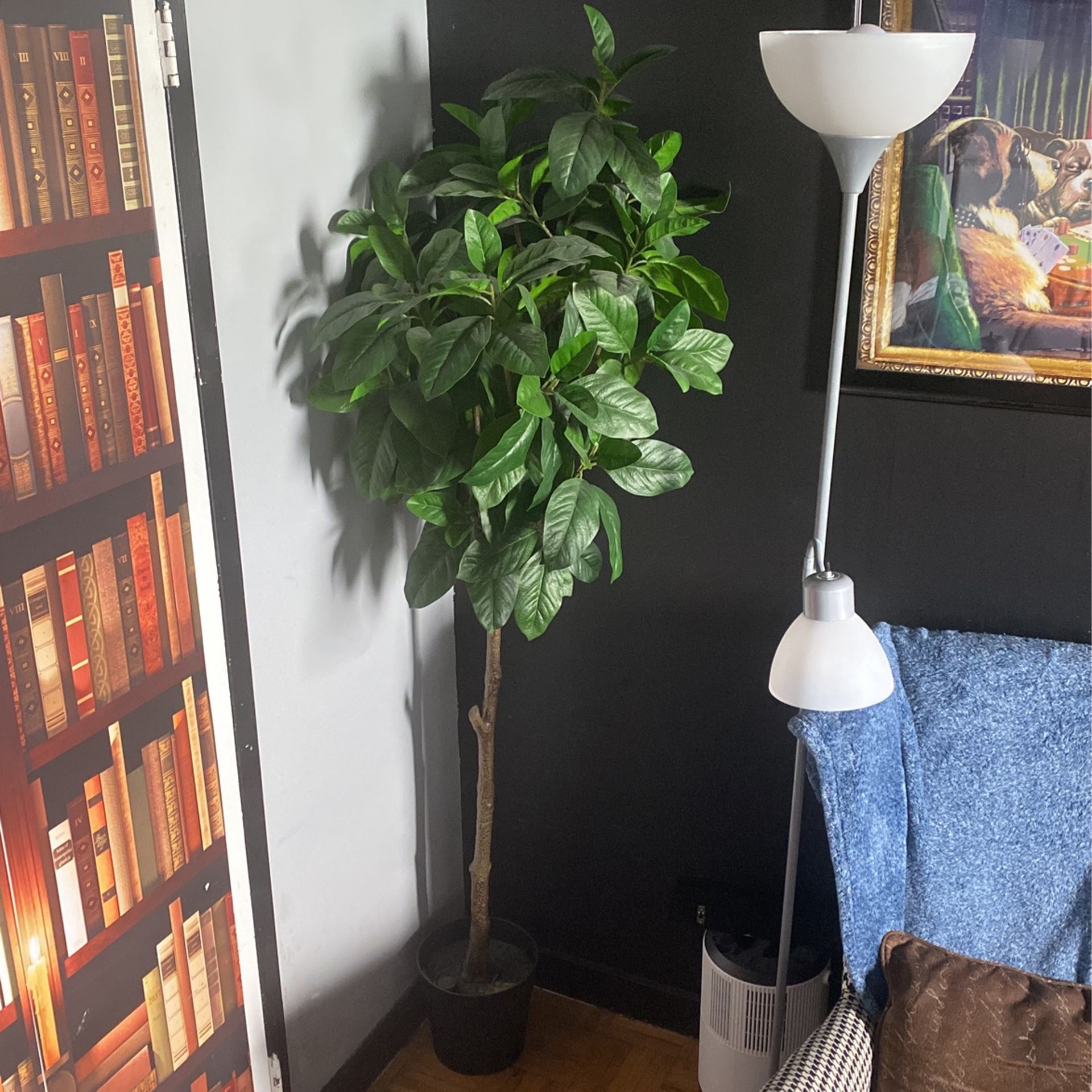 Assorted Fake House Plants