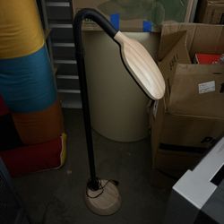 Adjustable Floor Light 