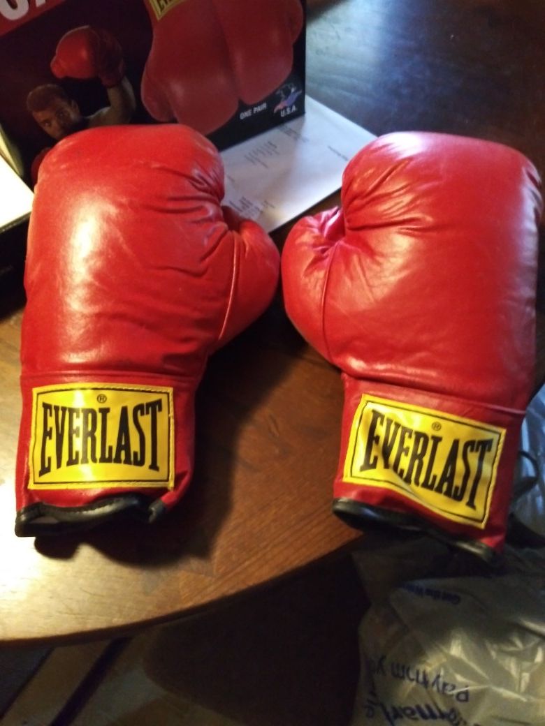 Everlast Boxing gloves