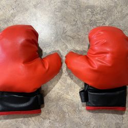 NEW Kids / Youth Punching Bag Boxing Gloves