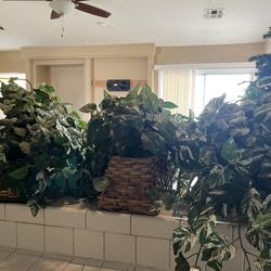 4 Large Faux Plants 