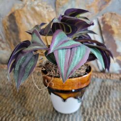 Wondering Jew Faux Table Piece 