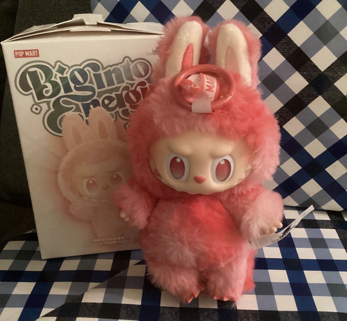 Big Energy Labubu With Outfits Closet Hangers Shoes