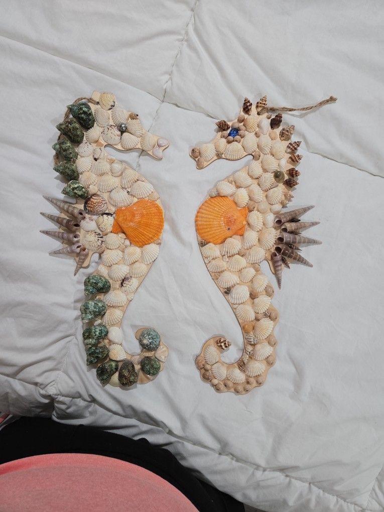 Caballitos De Mar