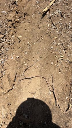 Free Dirt Free Delivery