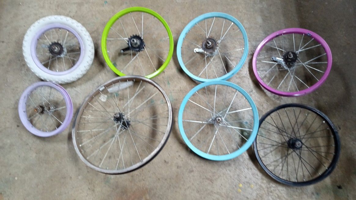 Bicycle Rims