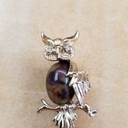 Cute Owl Pin