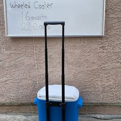 Small Coleman Cooler