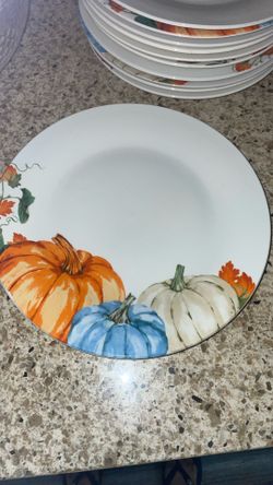 12 Plates, Dishwasher & Microwave Safe 