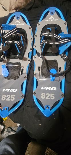 ALPTREK  PRO 825