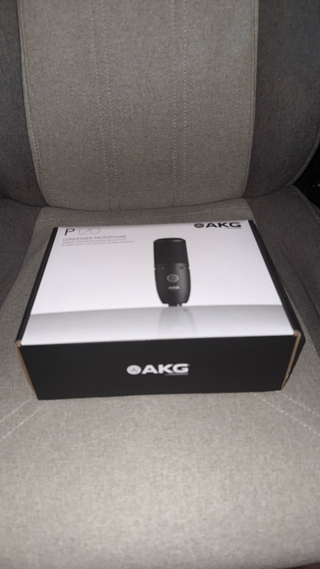 AKG P120 Condenser Microphone