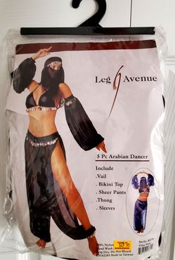 Arabian Dancer Costume - One Size