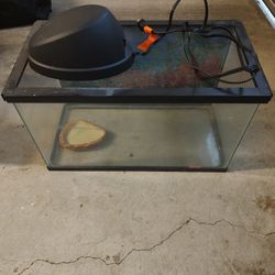 Reptile tank 10 gal