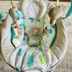Bright Stars Baby Bouncer Chair