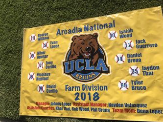 Banners & more
