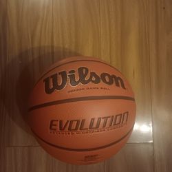 Wilson Evolution Basketbal  Indoor Game Ball