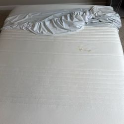 *Pending* Stained Queen mattresses 