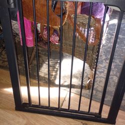 Animal safety swing gate